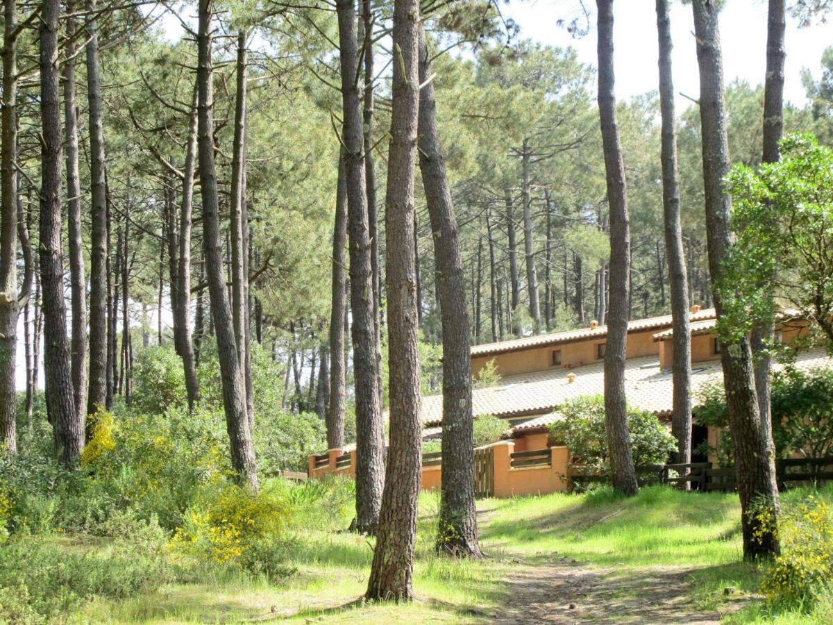 Holiday Home Les Maisons De La Foret By Interhome Lacanau Zewnętrze zdjęcie